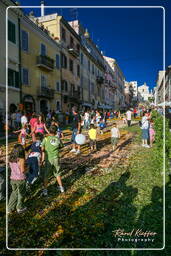 Infiorata of Genzano di Roma 2007 (549)