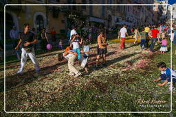 Infiorata of Genzano di Roma 2007 (559)