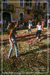 Infiorata of Genzano di Roma 2007 (560)
