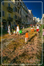 Infiorata di Genzano di Roma 2007 (563)