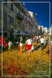 Infiorata di Genzano di Roma 2007 (565)