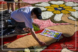 Infiorata of Genzano di Roma 2009 (604)