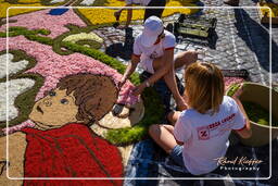 Infiorata of Genzano di Roma 2009 (608)