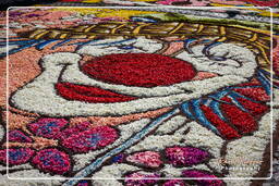 Infiorata di Genzano di Roma 2009 (614)