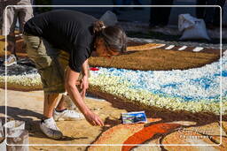 Infiorata von Genzano di Roma 2009 (621)