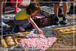 Infiorata von Genzano di Roma 2009 (626)