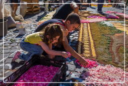 Infiorata von Genzano di Roma 2009 (628)