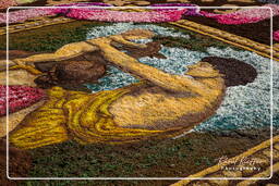 Infiorata of Genzano di Roma 2009 (634)