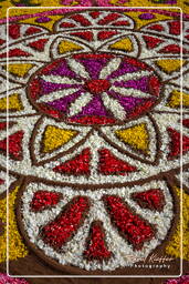 Infiorata de Genzano di Roma 2009 (637)