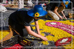 Infiorata von Genzano di Roma 2009 (638)