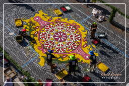 Infiorata of Genzano di Roma 2009 (641)