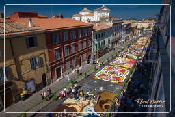 Infiorata de Genzano di Roma 2009 (644)