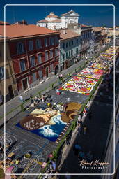 Infiorata di Genzano di Roma 2009 (647)