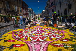 Infiorata von Genzano di Roma 2009 (656)