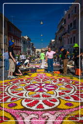 Infiorata de Genzano di Roma 2009 (657)