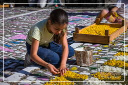 Infiorata de Genzano di Roma 2009 (665)