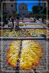 Infiorata of Genzano di Roma 2009 (668)