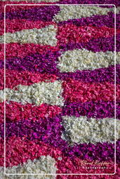 Infiorata von Genzano di Roma 2009 (669)