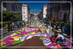 Infiorata of Genzano di Roma 2009 (672)