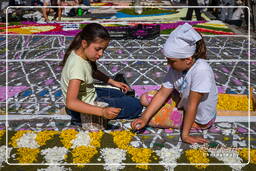 Infiorata von Genzano di Roma 2009 (681)