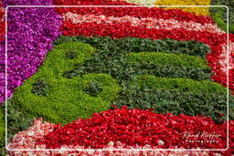 Infiorata de Genzano di Roma 2009 (687)