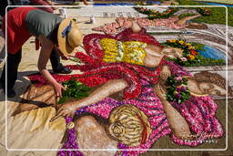 Infiorata of Genzano di Roma 2009 (697)