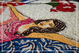 Infiorata de Genzano di Roma 2009 (706)