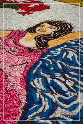 Infiorata von Genzano di Roma 2009 (707)