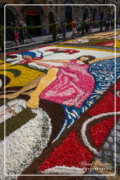 Infiorata von Genzano di Roma 2009 (708)