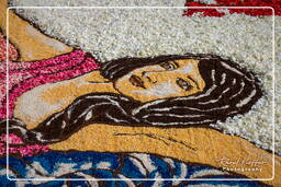 Infiorata di Genzano di Roma 2009 (713)