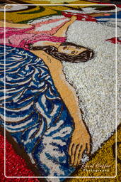 Infiorata of Genzano di Roma 2009 (716)