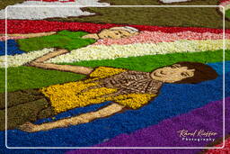 Infiorata of Genzano di Roma 2009 (718)