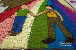 Infiorata di Genzano di Roma 2009 (720)