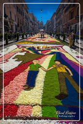 Infiorata of Genzano di Roma 2009 (721)