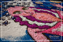 Infiorata von Genzano di Roma 2009 (731)