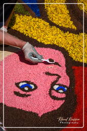 Infiorata von Genzano di Roma 2009 (760)