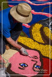 Infiorata di Genzano di Roma 2009 (765)