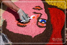 Infiorata von Genzano di Roma 2009 (773)