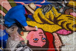 Infiorata di Genzano di Roma 2009 (775)