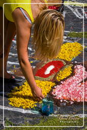 Infiorata di Genzano di Roma 2009 (777)