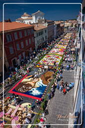 Infiorata von Genzano di Roma 2009 (781)