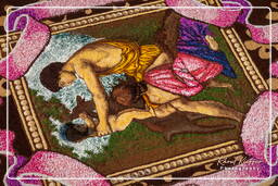 Infiorata di Genzano di Roma 2009 (784)