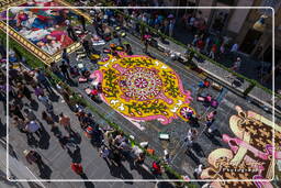 Infiorata de Genzano di Roma 2009 (794)