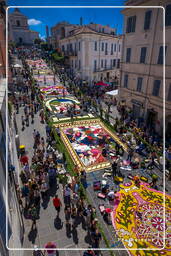 Infiorata di Genzano di Roma 2009 (796)