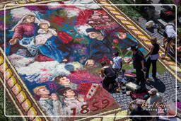 Infiorata von Genzano di Roma 2009 (798)