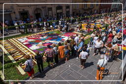 Infiorata von Genzano di Roma 2009 (808)