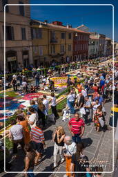 Infiorata von Genzano di Roma 2009 (811)