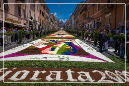 Infiorata von Genzano di Roma 2009 (825)