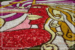 Infiorata di Genzano di Roma 2009 (829)