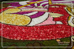 Infiorata of Genzano di Roma 2009 (832)